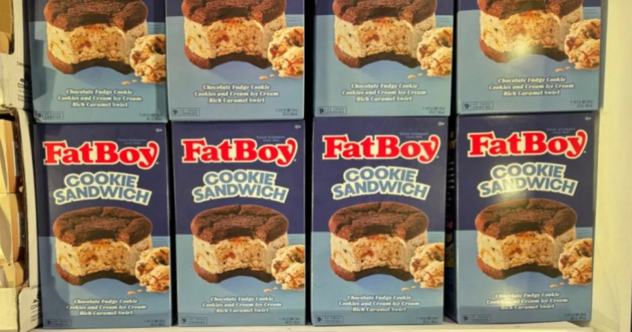 Fat Boy Cookie Sandwich boxes in store, in the freezer case.
