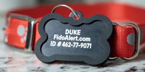 Keep Track of Your Pet w/ the FREE FidoTabby Alert Pet Tag