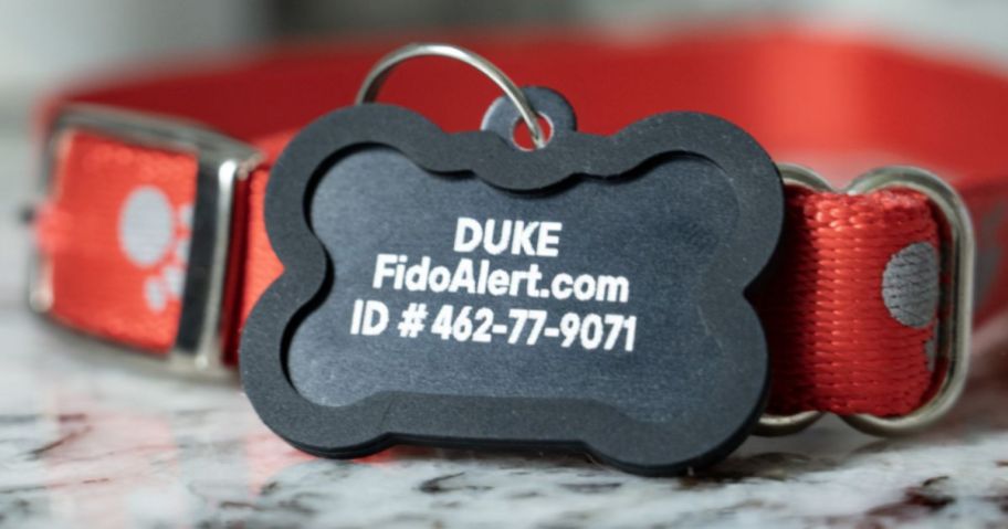 a fido alert dog tag shaped like a dog bone attached to a red dog collar