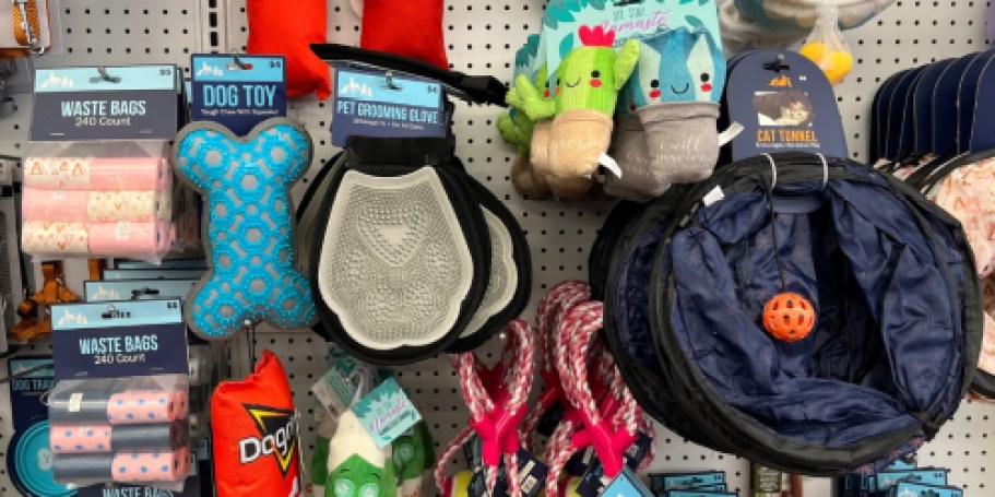 Five Below Pet Supplies from $3 | Toys, Treats, Pet Beds, Grooming Items & More!