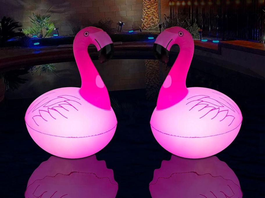 Flamingo Floating Solar Pool Lights