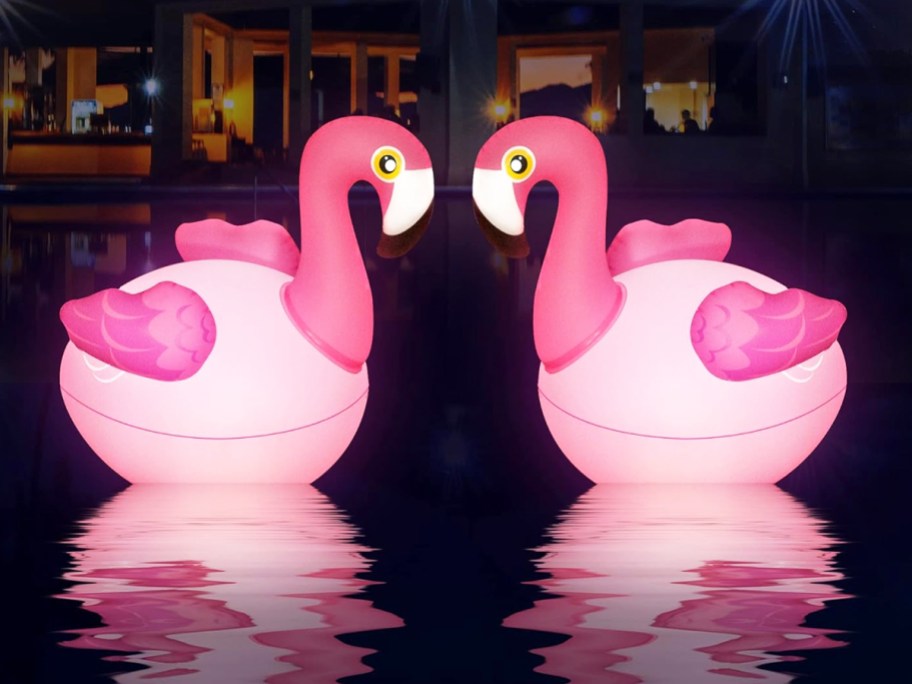 two pink inflatable flamingo solar lights floating in pool