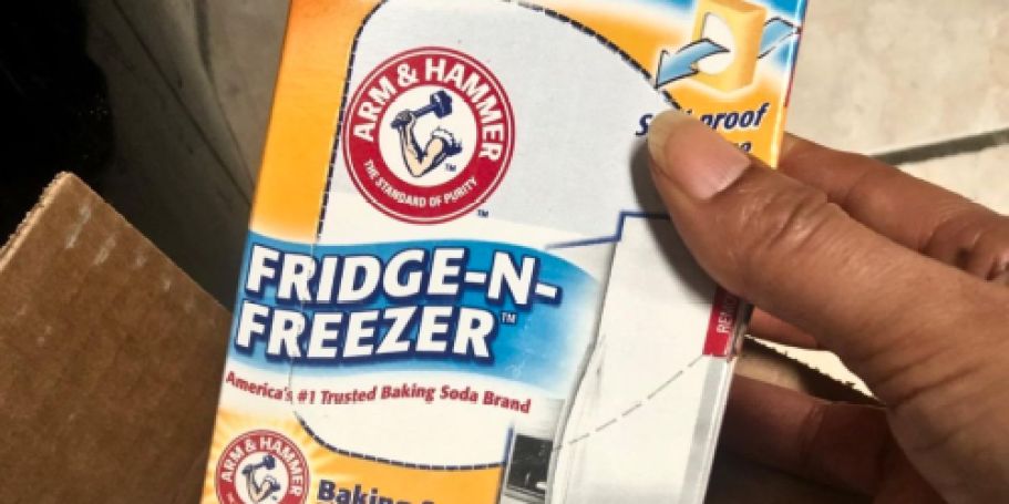 Arm & Hammer Baking Soda Fridge-n-Freezer Odor Absorber12-Pack Just $9.69 Shipped on Amazon