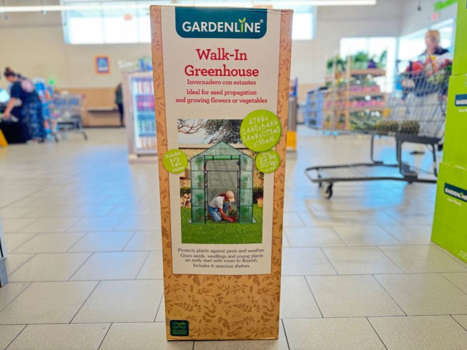 A Gardenline Walk-In Greenhouse in a box in the store