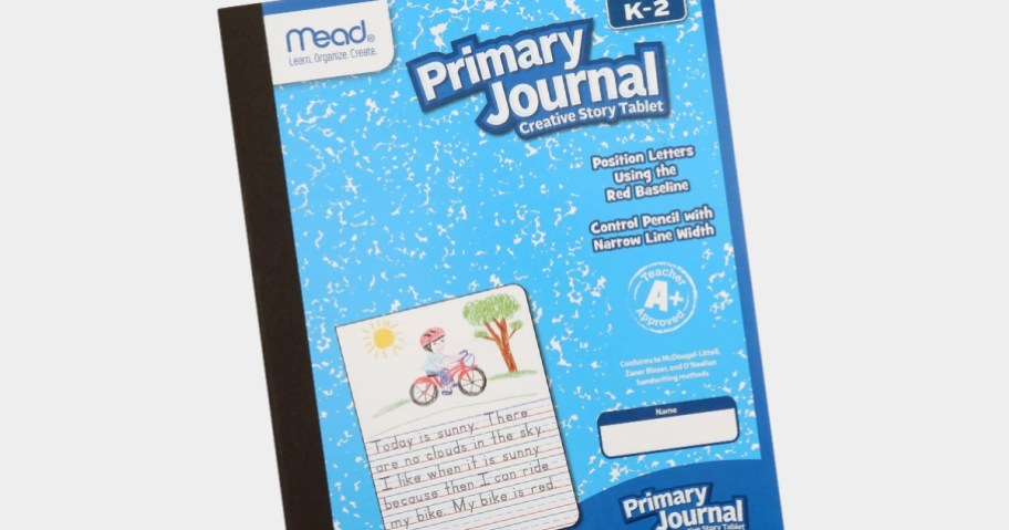 blue and white Mead kid's primary writing journal