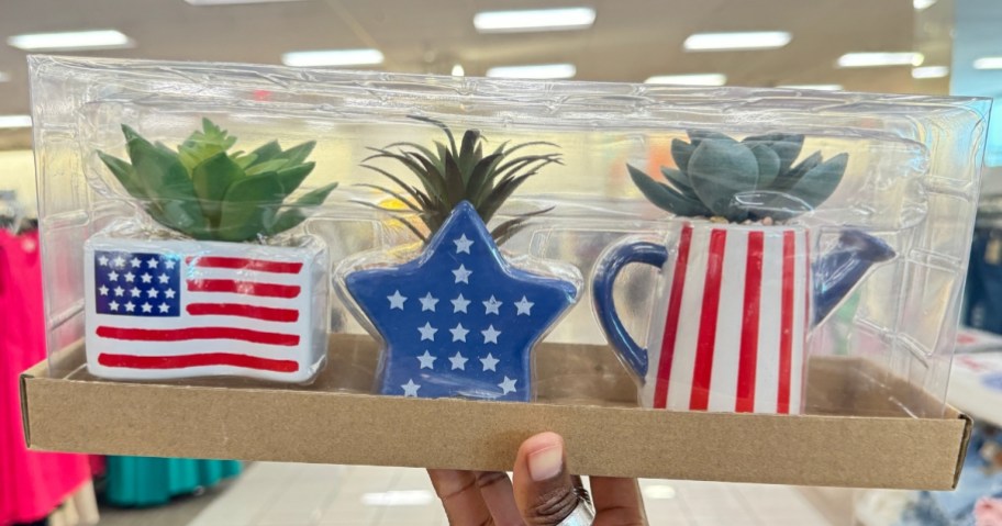 hand holding a box with three red, white, and blue small containers with mini succulents
