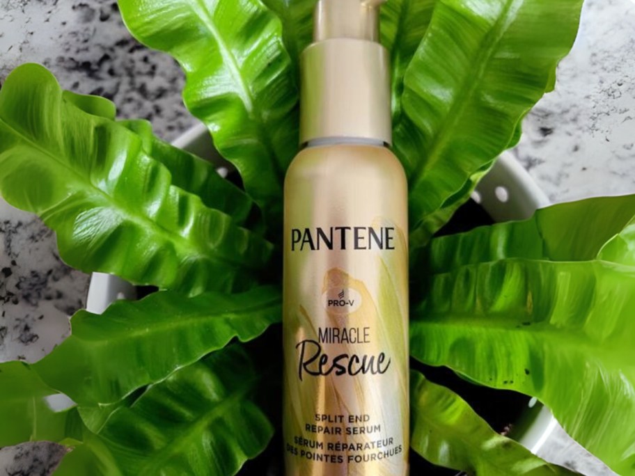 a bottle of Pantene Miracle Rescue Hair Serum with a green plant behind it