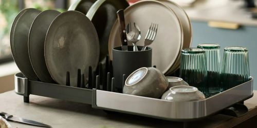 Expandable Dish Rack AND Sink Organizer Just $16.97 on Walmart.com (Reg. $60)