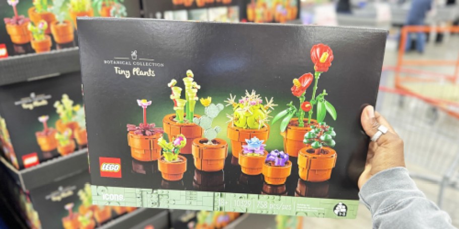 Did You Know Petco Sells LEGO Sets? (+ Score Extra Savings!)