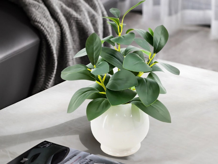 Mainstays 11" Peperomia Plant in White Pot