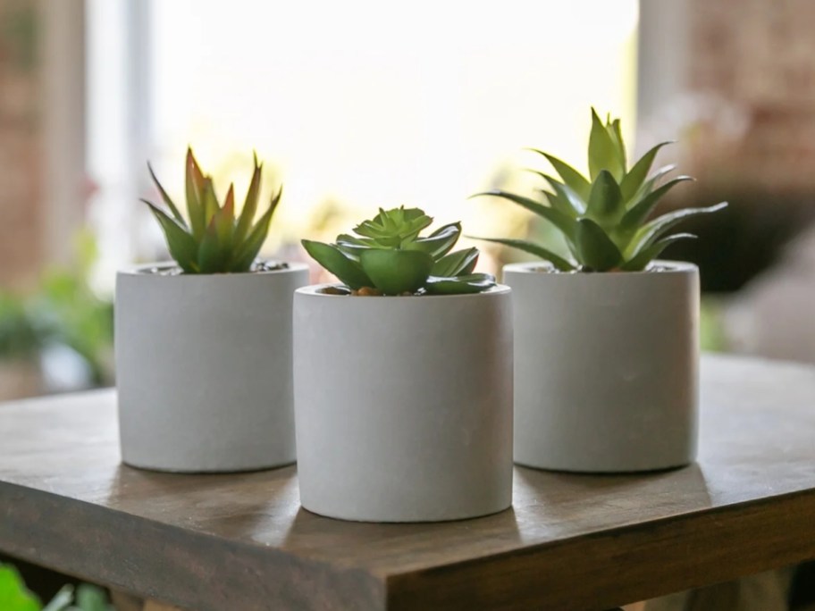 Mainstays Succulent 3-Piece Set in Gray Pots