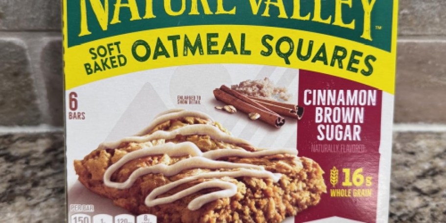 Nature Valley Soft-Baked Oatmeal Squares 6-Count Only $2 Shipped on Amazon