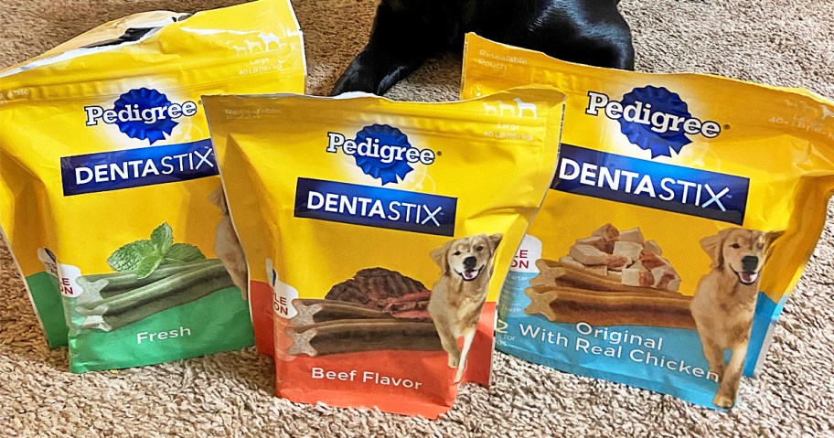 three bags of Pedigree Dentastix dog treats on floor in front of dog