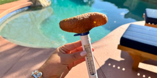 Floating Poop Thermometer For Pool Just $11.99 on Amazon (Unique Gift Idea!)