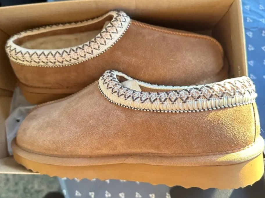 quince australian shearling slippers in shoe box