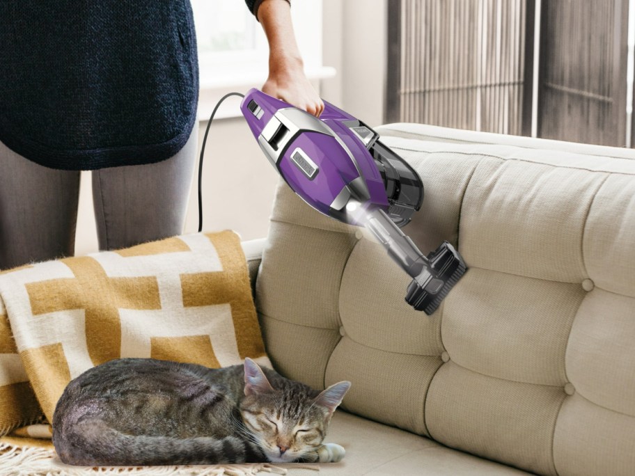 woman using the hand vac from a Shark Rocket Pet Pro Stick Vacuum on a couch above a sleeping tabby cat