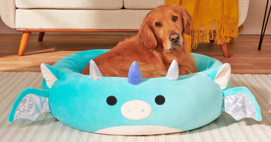 golden retriever laying in a blue dragon squishmallows pet bed