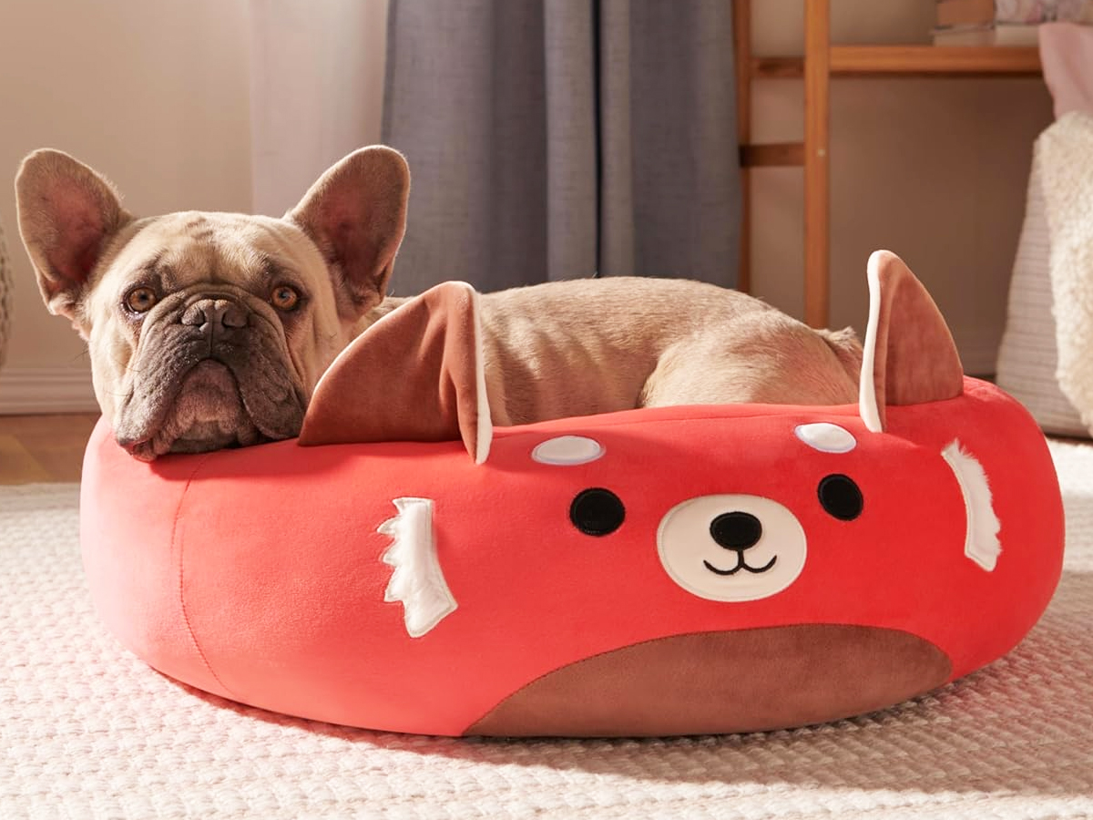 Woot! Squishmallow Sale – Pet Beds Just $6.99 Shipped & More!