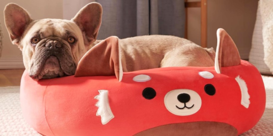 Squishmallows Large Pet Bed Only $26 Shipped (Regularly $60)