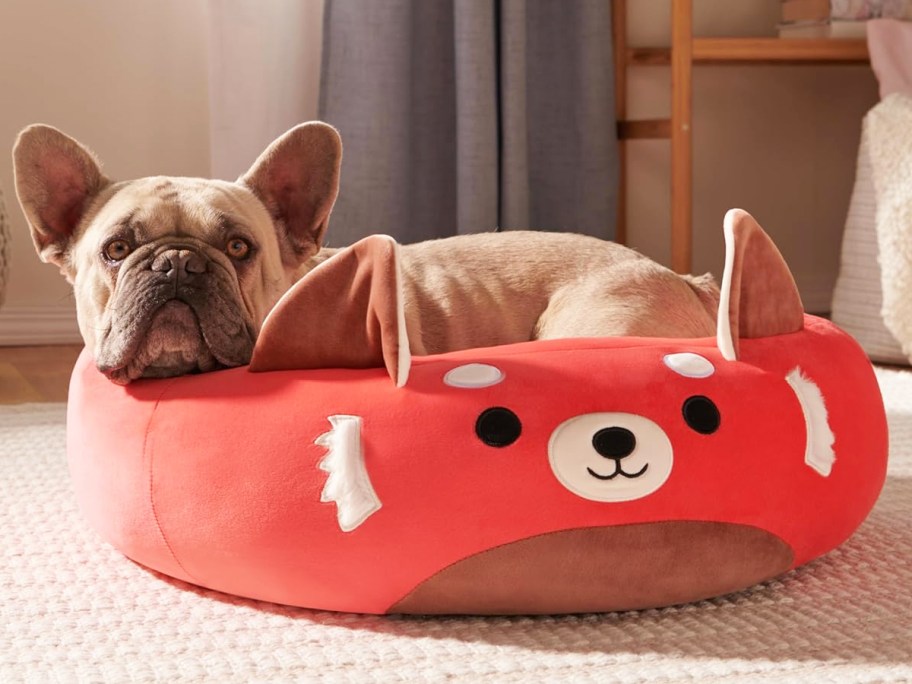 frenchie laying in red panda squishmallows pet bed