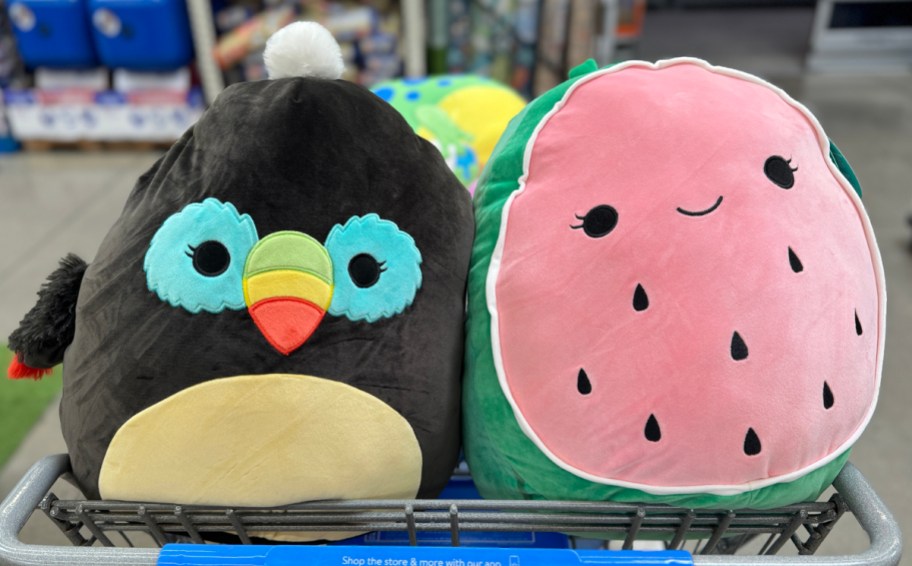 Toucan and Watermelon 16" Squishmallows
