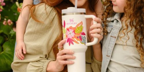 NEW Stanley Tumbler Mother’s Day Collection Available Now (But May Sell Out!)