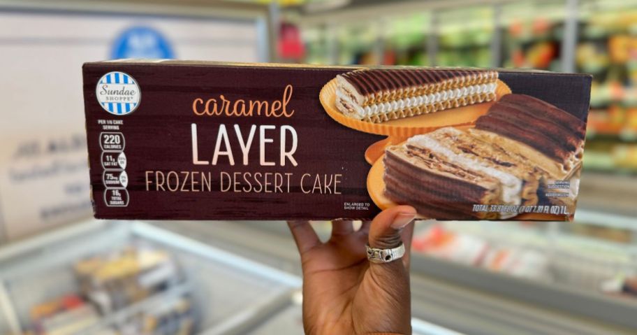 Sundae Shoppe Caramel layer Frozen Dessert