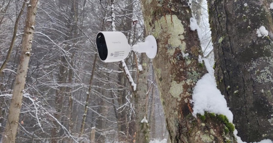 white security camera mounted on tree