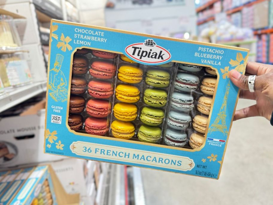A hand holding a box of 36 Tipiak French Macarons