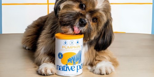 Up to 50% Off Native Pet on Amazon | Organic Pumpkin Digestive Supplement Just $12.59 Shipped