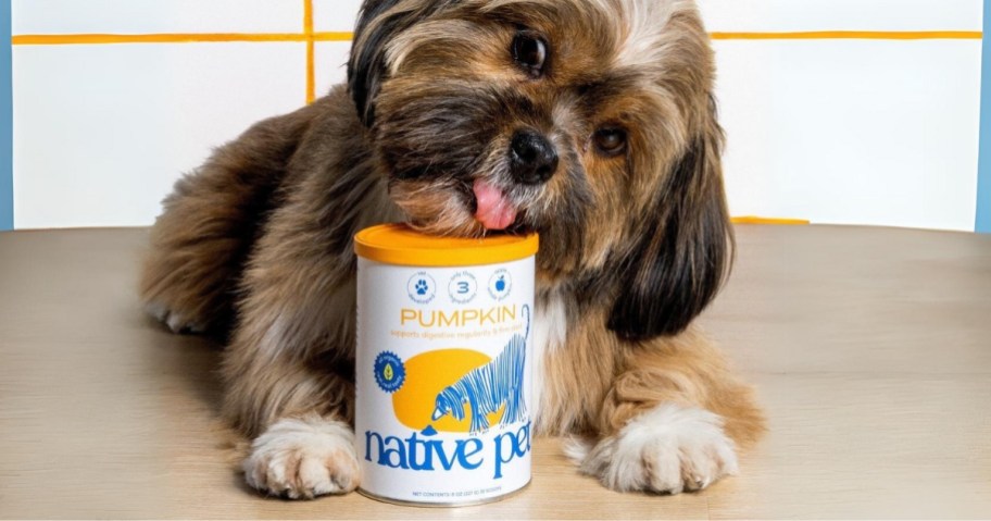 small dog with his head on a Native Pet Pumpkin supplement container
