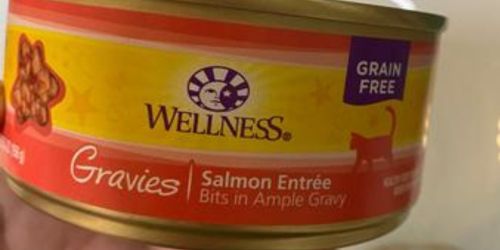 Wellness Gravies Canned Cat Food 12-Pack Just $4.99 Shipped on Amazon (Reg. $23)