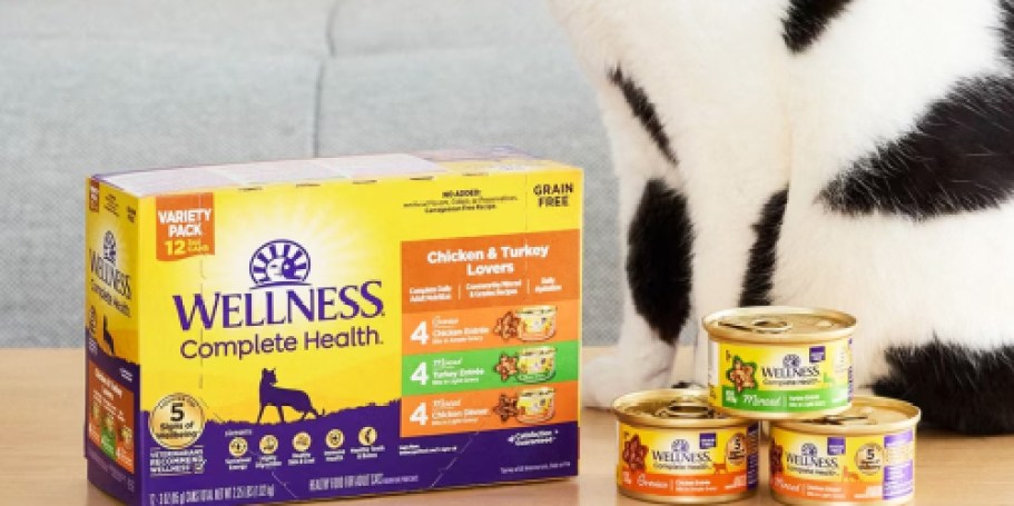 Wellness Wet Cat Food 12-Count Variety Pack Only $8.58 Shipped on Amazon (Reg. $21)