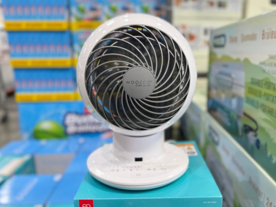 WooZoo 5-Speed Globe Fan at Costco Store