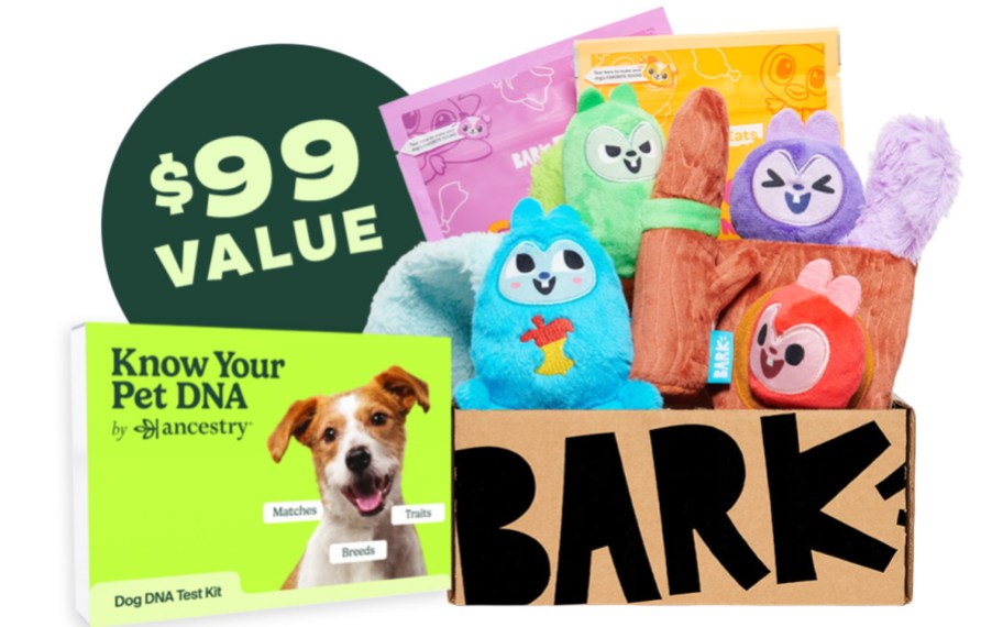 barkbox with ancestry kit and toys