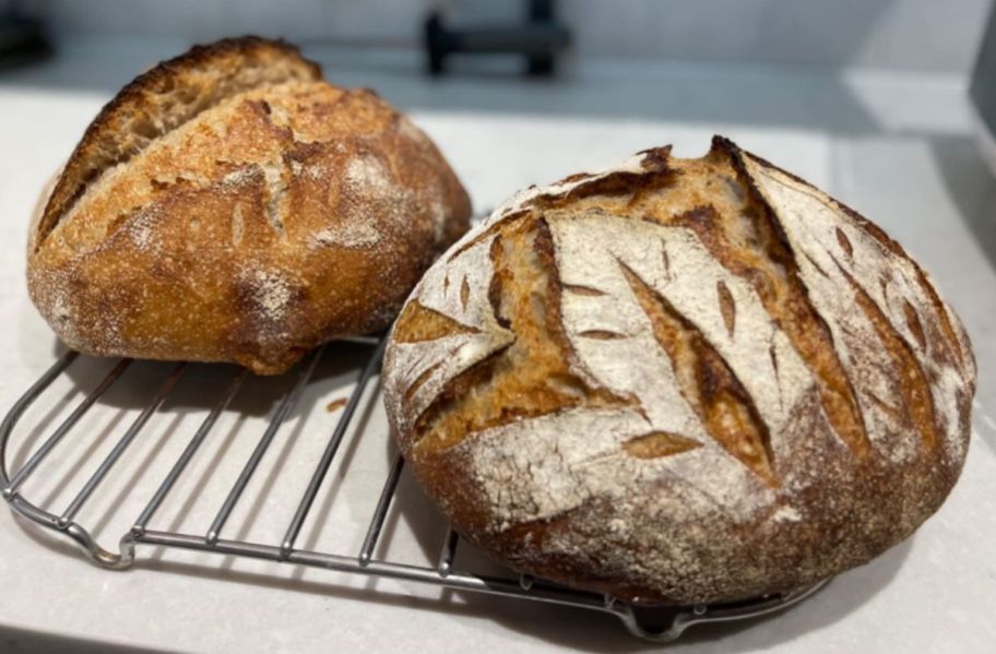 two loaves of sourdough bread on a cooling rack
