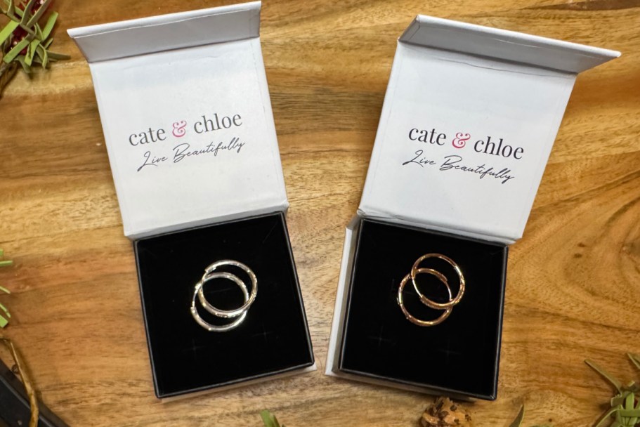 Trendy Cate & Chloe Hoop Earrings JUST $14.99 Shipped (Includes Box for Easy Gifting!)