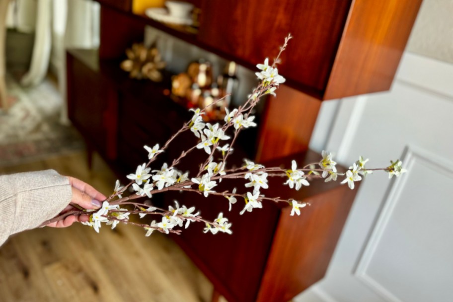hand holding a flowering forsythia branch in a kitchen