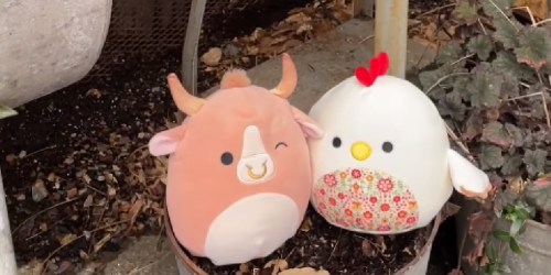 NEW Five Below Spring Squishmallows Just $5.95