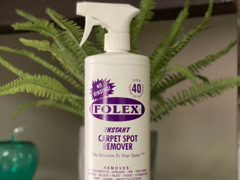 FOLEX Instant Carpet Spot Remover, 32oz on a counter in front of a plant