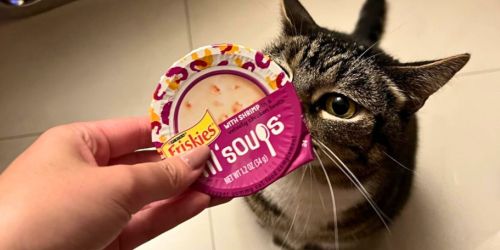 Friskies Lil’ Soups w/Shrimp in Chicken Broth 8-Pack Only $6 Shipped on Amazon (Reg. $10)