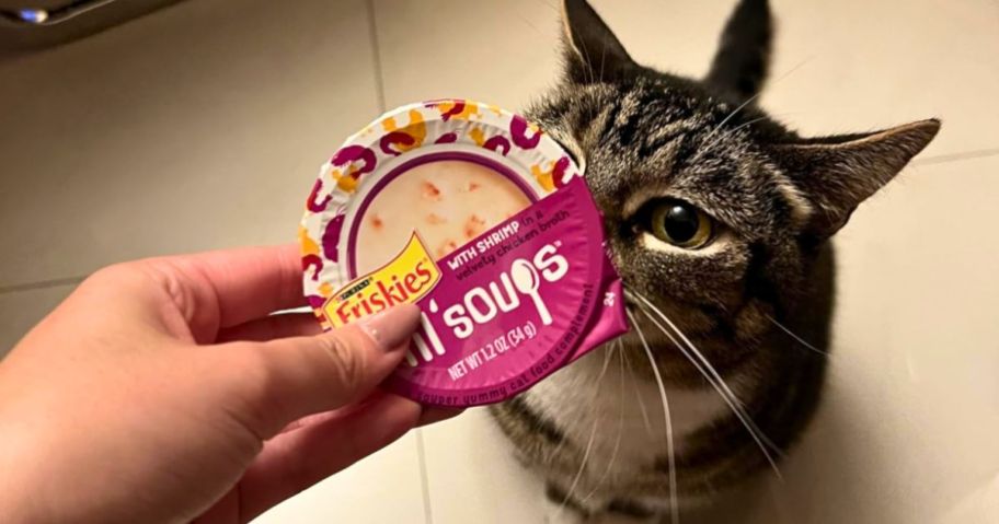 a womans hand holding a package of friskies lil soups up to a cats nose, who is sniffing it. 