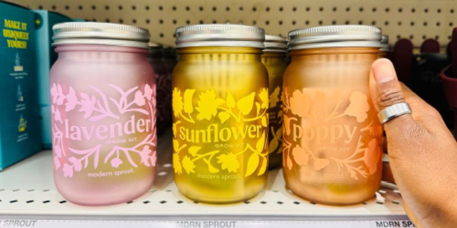 Modern Sprout Grow Kits Only $7.79 on Target.com (Reg. $13)