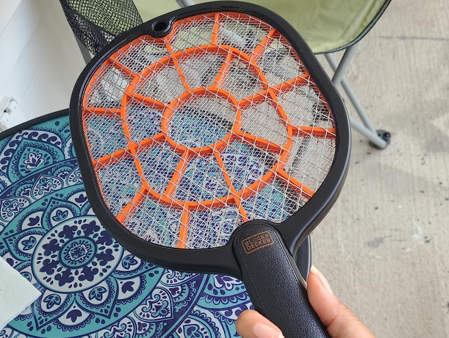 hand holding fly swatter while showcased on a table