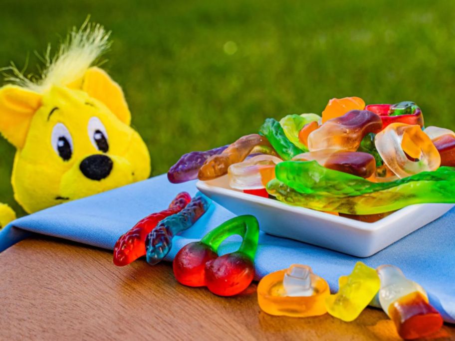 haribo gummi candy on a plate on a table with a stuffed bear peering over the edge of the table eyeing the candy
