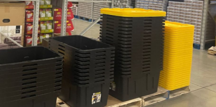 Member’s Mark 27-Gallon Storage Totes Only $6.98 at Sam’s Club