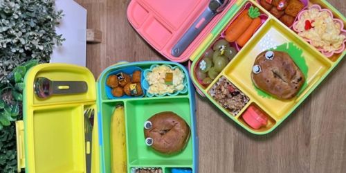 Munchkin Bento Lunch Boxes Just $5 on Walmart.com (Reg. $17) | Over 3,000 5-Star Reviews!
