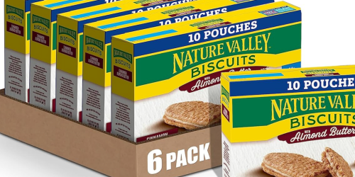 Grab 6 Boxes of Nature Valley Cinnamon Almond Butter Biscuits for Just $17.95 Shipped on Amazon (Reg. $41)