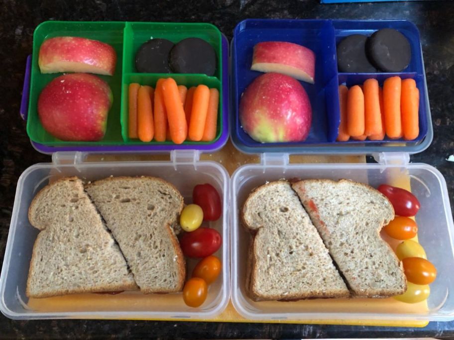 2 snaplock bento boxes with sandwiches and friut