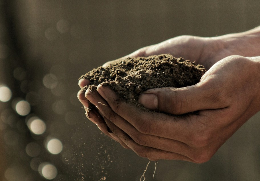 dirty hands holding a handful of dirt soil